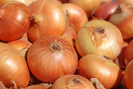 Pile of onions in bright sunlight, close-upの写真素材