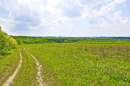 Rural summer landscape with soil road among field and forest, cloudy skyの写真素材
