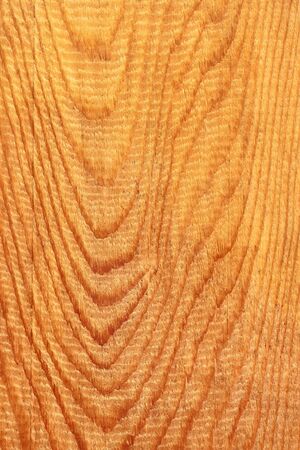 Detailed coarse structure of longitudinal section of wooden board with annual ringsの写真素材
