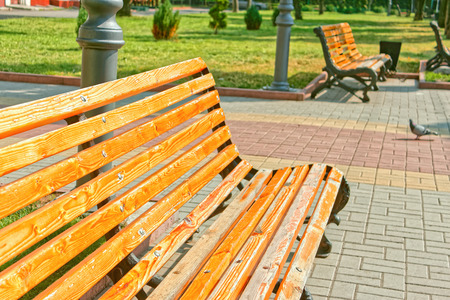 Empty wooden bench in town square near the alley in bright sunlightの写真素材