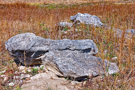 Big limestone stones lying among the autumn meadow with dread grassの写真素材
