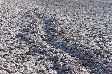 Furrow in dried cracked soil, bottom of a dried-up lakeの写真素材