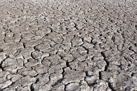 Grey cracked soil surface of dried pond in hot summertimeの写真素材
