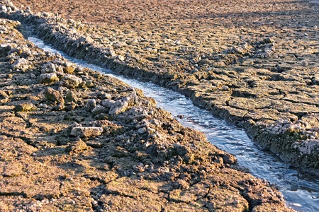 Small water stream flowing in the channel among dried cracked earth in hot summertimeの写真素材