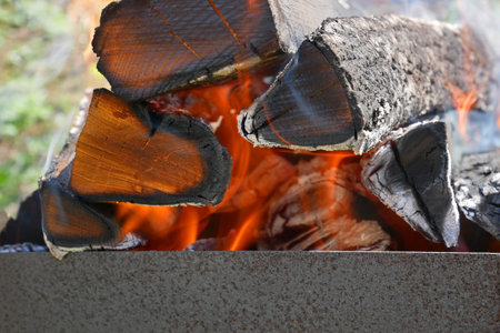 Firewood burns in rusty metal tray close-up