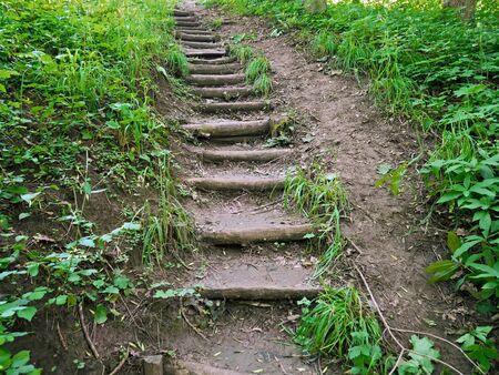 Old narrow wooden stairs leading up a walkway among the grass in the park in summertimeの写真素材