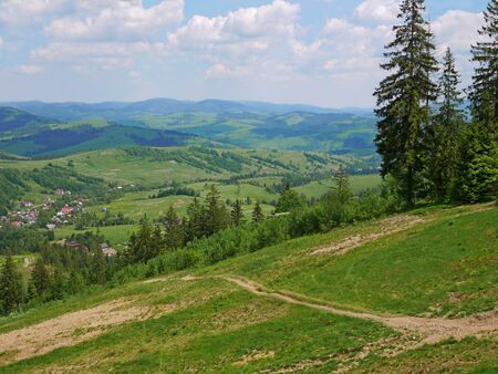 Mountain trail in Ukrainian Carpathians in lovely summer dayの写真素材