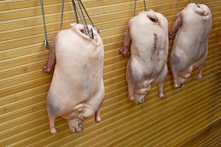 Three stuffed geese before grill hang on steel hooks against a yellow wooden wallの写真素材