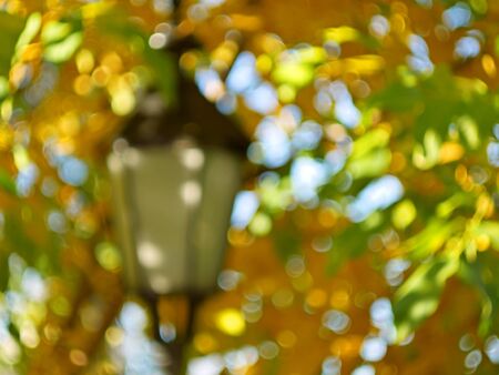 Lantern surrounded by yellow and green maple leaves on a beautiful autumn day, blurry bokeh artworkの写真素材