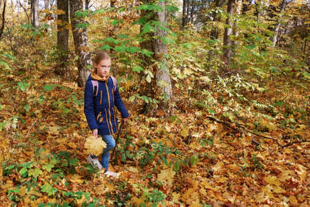 Sad tired Caucasian blonde little girl holding a bouquet of yellowed maple leaves in autumn time on a lawn with green grassの写真素材