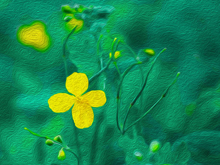 Yellow flower of celandine plant on a green background, raster illustration. Flowering Period: Spring-Autumnの写真素材