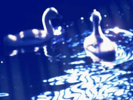 Two small goslings floating on the water surface, blurring and structured artistic pattern in vivid blue huesの写真素材