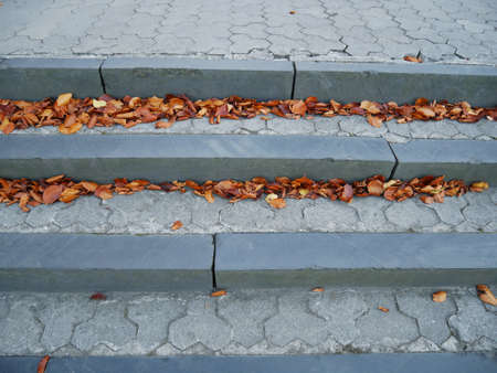 Fragment of outdoor stone stairs with figured gray tiles, orange autumn dry beech leaves on their surface in calm autumn weatherの写真素材
