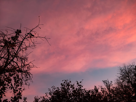 Beautiful autumn cloudescape with reddish color clouds in early morning in November, sunrise timeの写真素材