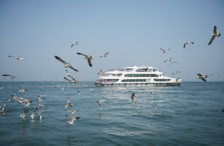 Sea cruisesのeditorial素材