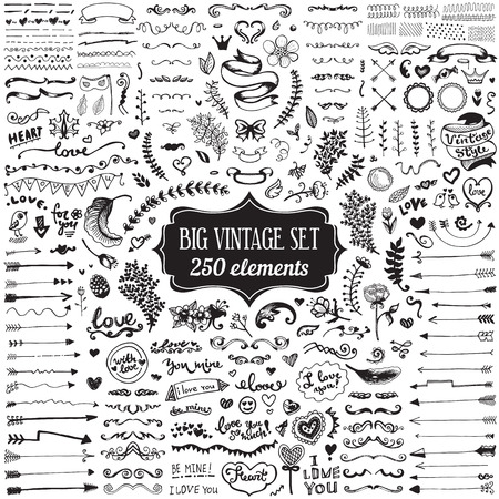 Big set of vintage elements. Vector decoration collection. Hand drawn flowers and leaves, arrows and page decor.のイラスト素材