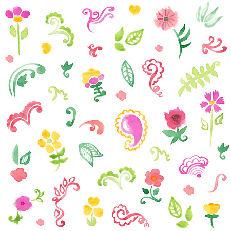 Watercolor elements set. Vector floral collection. Hand painted illustration.のイラスト素材