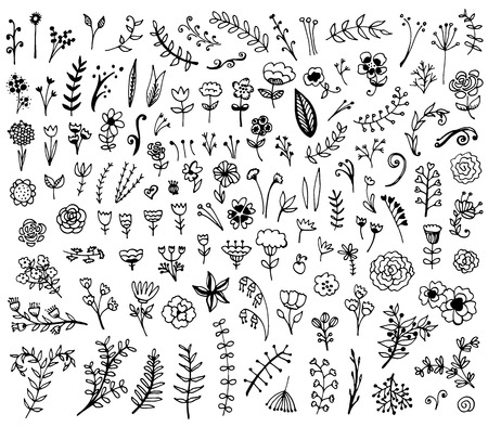 Floral hand drawn vintage set. Vector flowers and leaves collection. Sketch art illustration.のイラスト素材