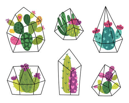 Cute cactus and succulentのイラスト素材