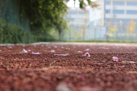 Campusの写真素材