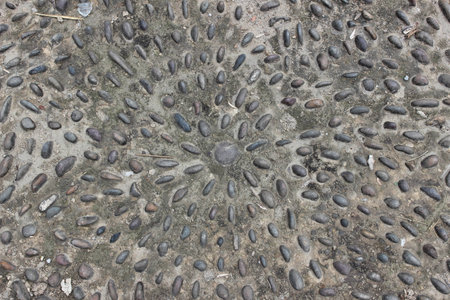 Pebblesの写真素材