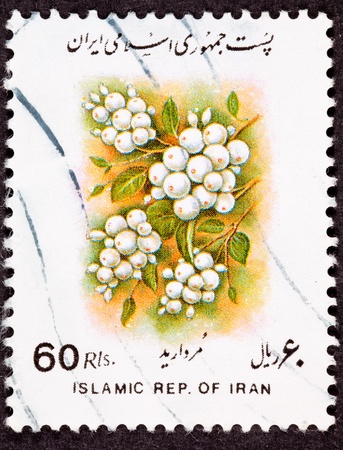 Canceled Iranian Postage Stamp Bunches of White Berries on Bush Sorbus glabrescens White-fruited Rowanの写真素材