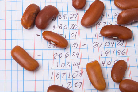 Red Kidney Beans on a Ledger Book.  Accounting Joke