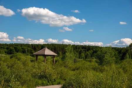 Blue sky, white clouds and green landの写真素材