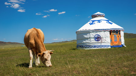 The prairie yurtの写真素材