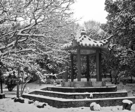 After the snow scenery in winterの写真素材