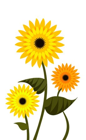 Beautiful sunflower, it is drawn with a computerの写真素材