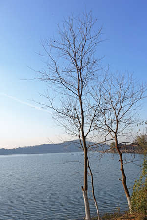 The riverside scenery in the winterの写真素材