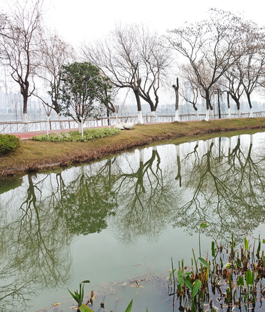Lake sceneryの写真素材