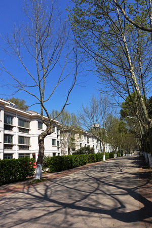 houses beside of the walkwayのeditorial素材