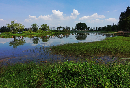 Wetland landscapeの写真素材