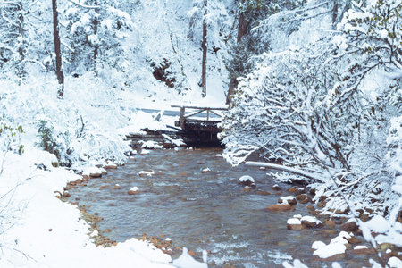 river side scenery during winterの写真素材