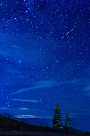 Silhouette of a tree with a starry sky and shooting stars in the background. Image material of...