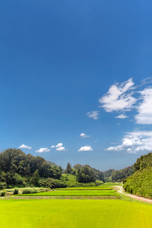 Rural scenery of rice fields in a valley. Background Materialの写真素材