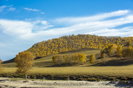 Bashang grasslands