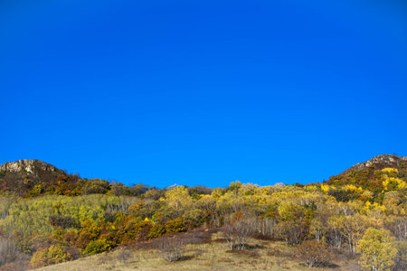 Bashang grasslandsの写真素材