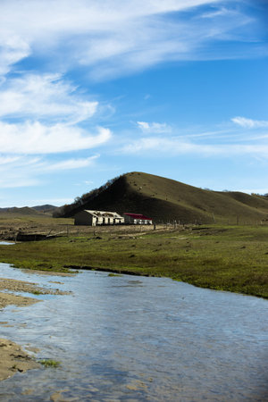 Bashang grasslands