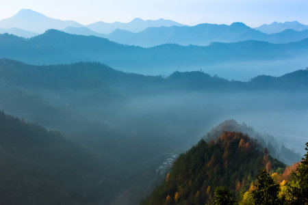 Trees in mountainsの写真素材