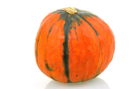 Pumpkin on white background の写真素材
