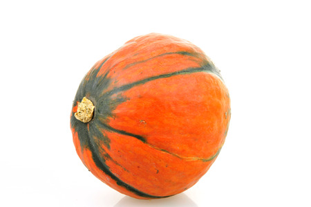 Pumpkin on white background の写真素材