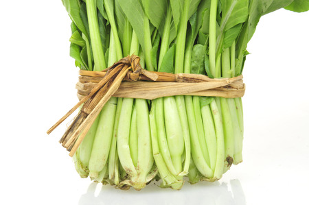 
Pok Choi on white backgroundの写真素材