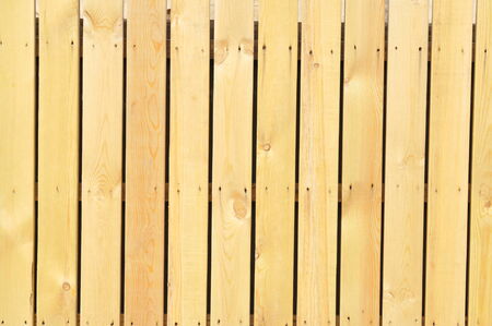 The grain of woodの写真素材