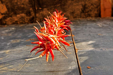 Hanging dried chilies の写真素材
