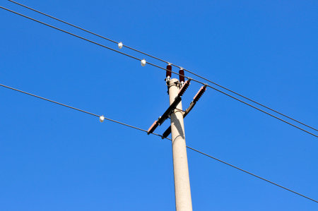 Telephone poles and wiresの写真素材