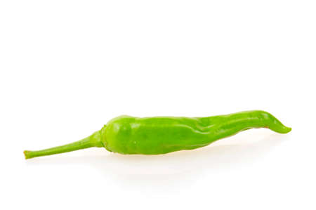 The chili of isolated on a white backgroundの写真素材