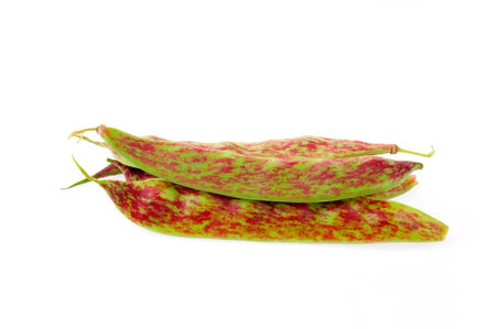 Purple vegetables beansの写真素材